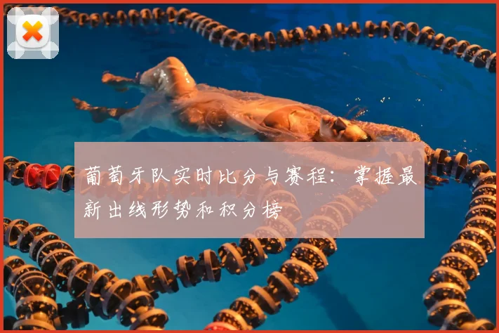 葡萄牙队实时比分与赛程:掌握最新出线形势和积分榜