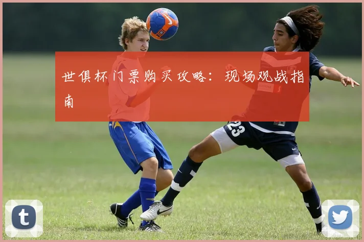 世俱杯门票购买攻略：现场观战指南